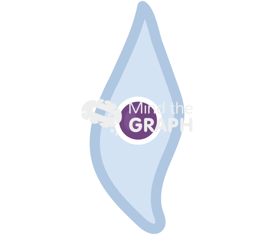 Neural progenitor Icons, Symbols, Pictures, and Images