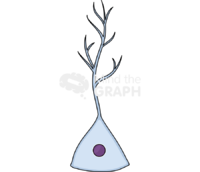 Neuroblast 2 Icons, Symbols, Pictures, and Images