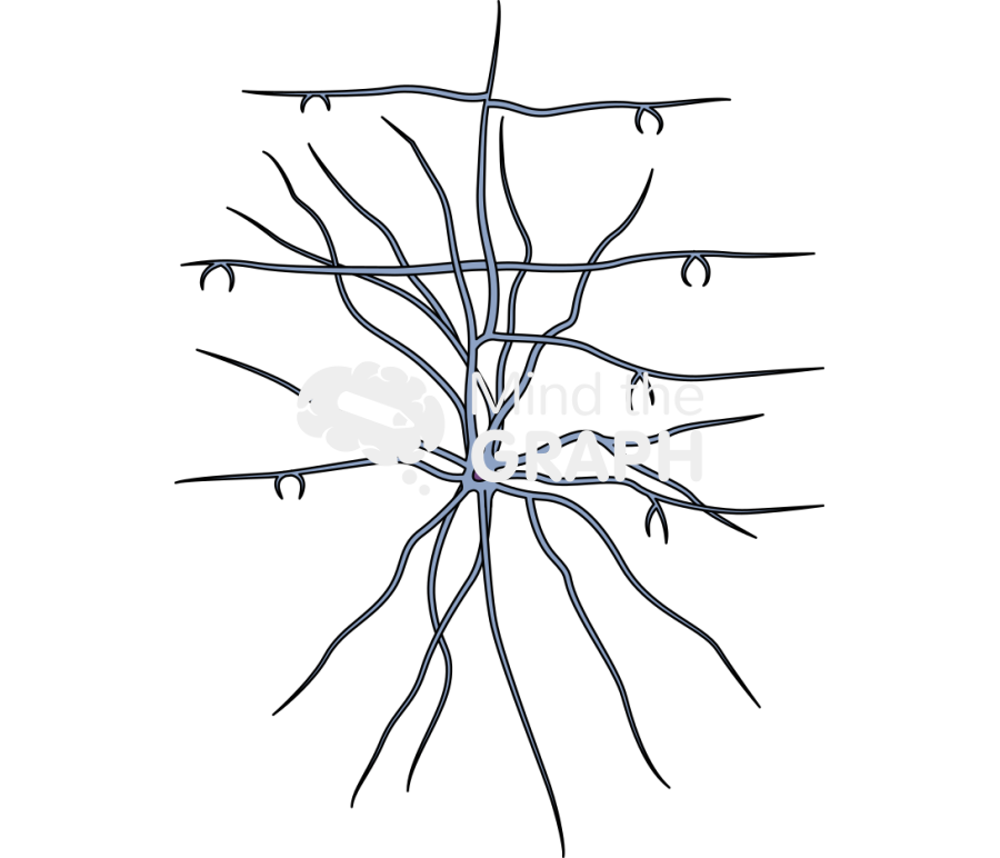 Neuron bas Icons, Symbols, Pictures, and Images