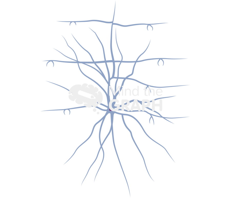 Neuron bas Icons, Symbols, Pictures, and Images