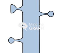 Neuron dendritic spine 2 Icons, Symbols, Pictures, and Images