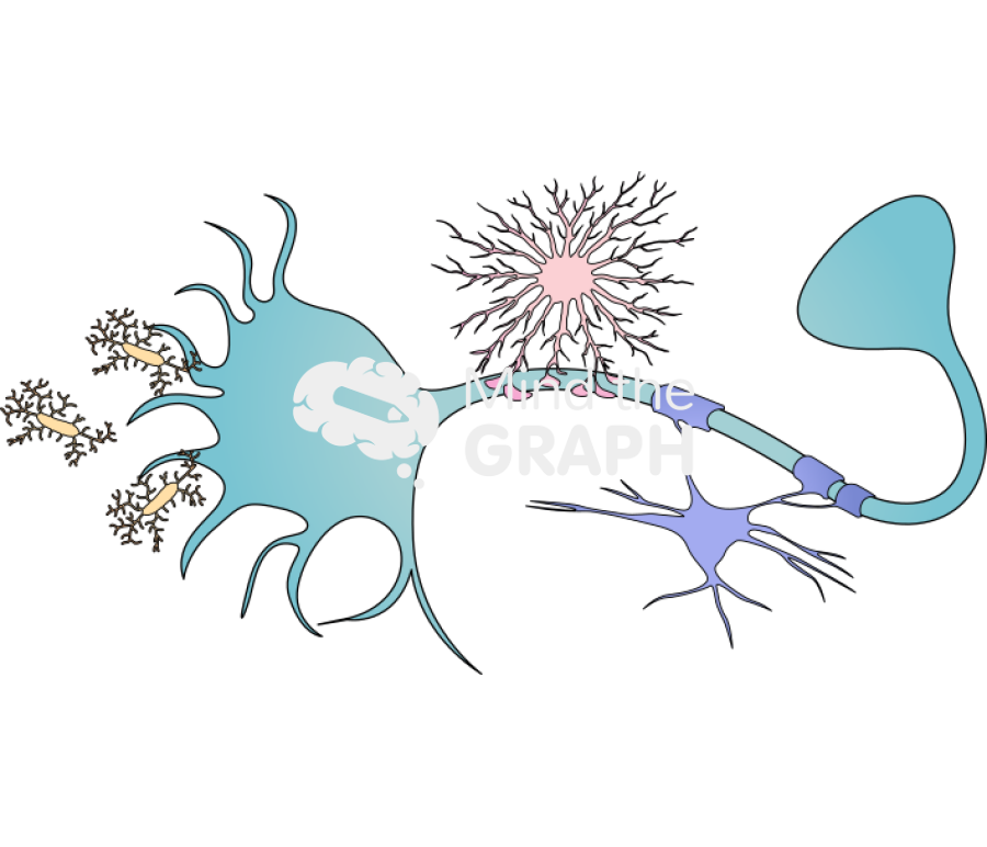 Neuron microglia astrocito oligodendrocito Icons, Symbols, Pictures, and Images