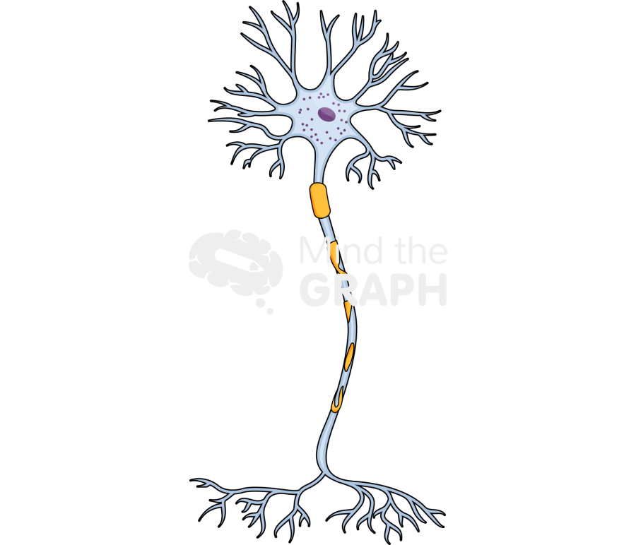 Neuron myelin damaged Icons, Symbols, Pictures, and Images