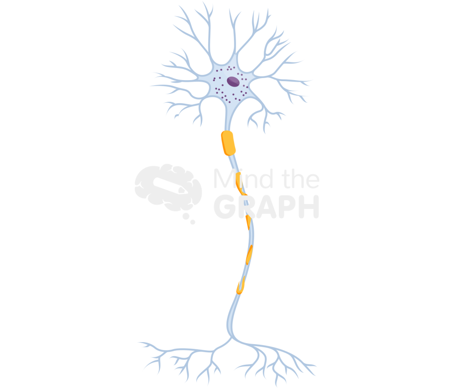 Neuron myelin damaged Icons, Symbols, Pictures, and Images