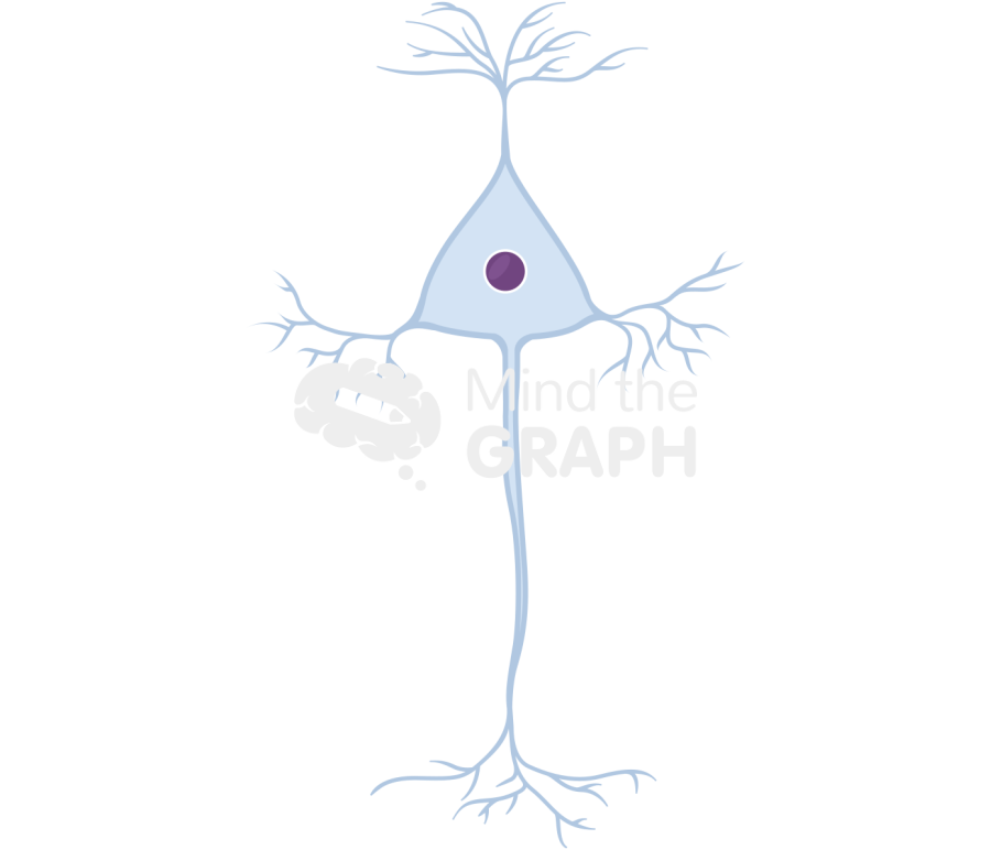 Neuron pyramidal Icons, Symbols, Pictures, and Images