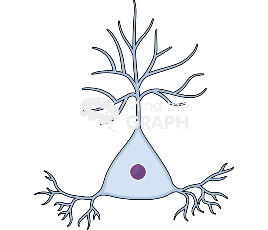 Neuron pyramidal 2 Icons, Symbols, Pictures, and Images