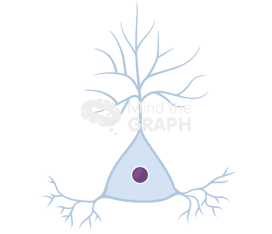 Neuron pyramidal 2 Icons, Symbols, Pictures, and Images