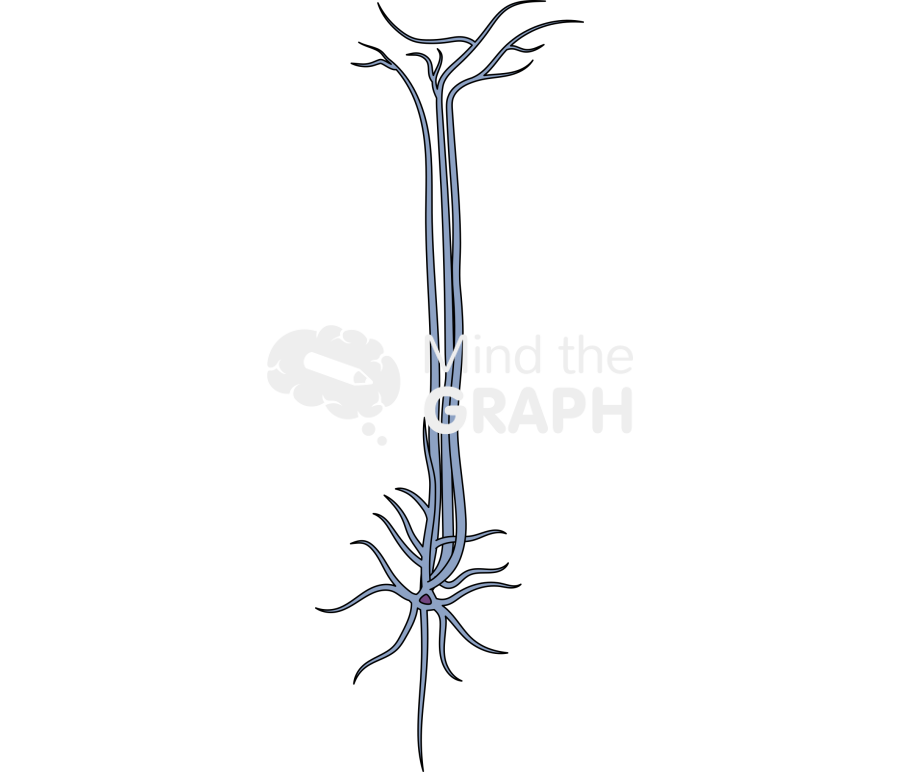 Neuron sp Icons, Symbols, Pictures, and Images