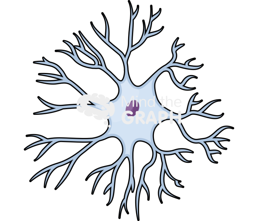 Neuron stellate Icons, Symbols, Pictures, and Images