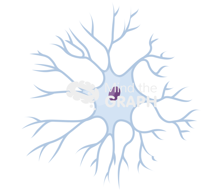 Neuron stellate Icons, Symbols, Pictures, and Images