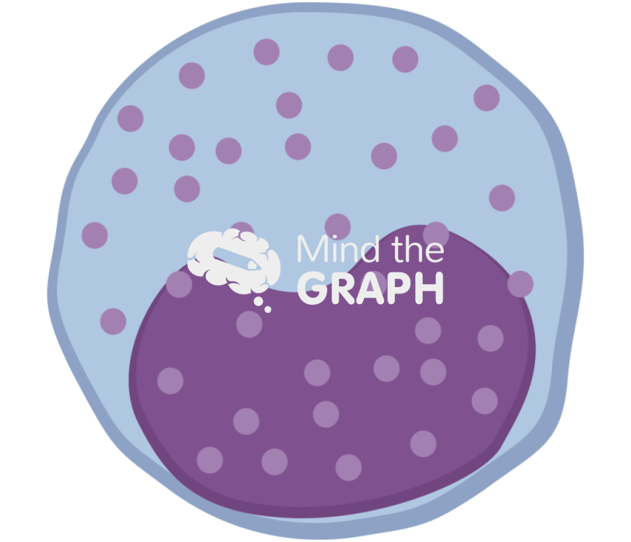 Neutrophil metamyelocye Icons, Symbols, Pictures, and Images