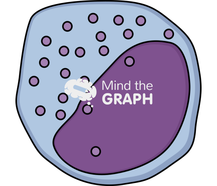 Neutrophil myelocye Icons, Symbols, Pictures, and Images