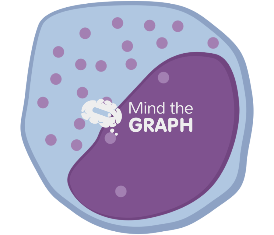 Neutrophil myelocye Icons, Symbols, Pictures, and Images