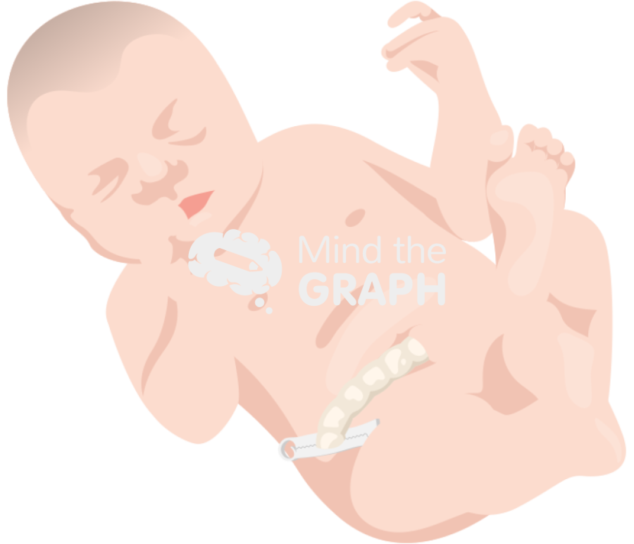 Newborn infant umbilical cord caucasian Icons, Symbols, Pictures, and Images