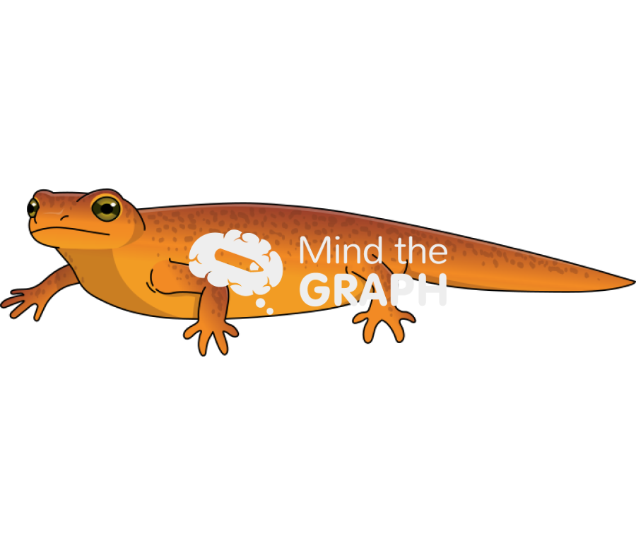Newt pleurodelinae Icons, Symbols, Pictures, and Images