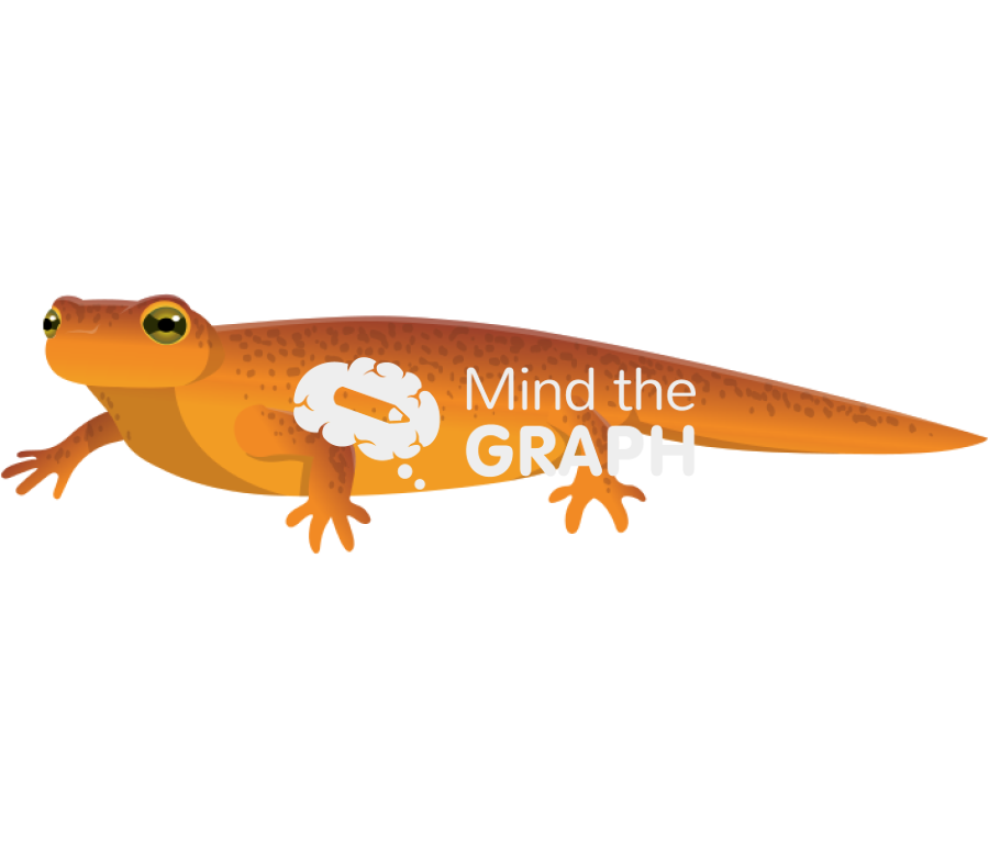 Newt pleurodelinae Icons, Symbols, Pictures, and Images