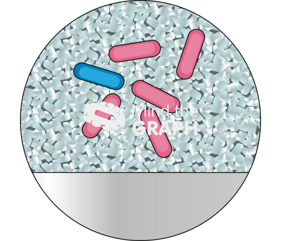 Nitrate reduction magnetite carbon steel surface zoom Icons, Symbols, Pictures, and Images