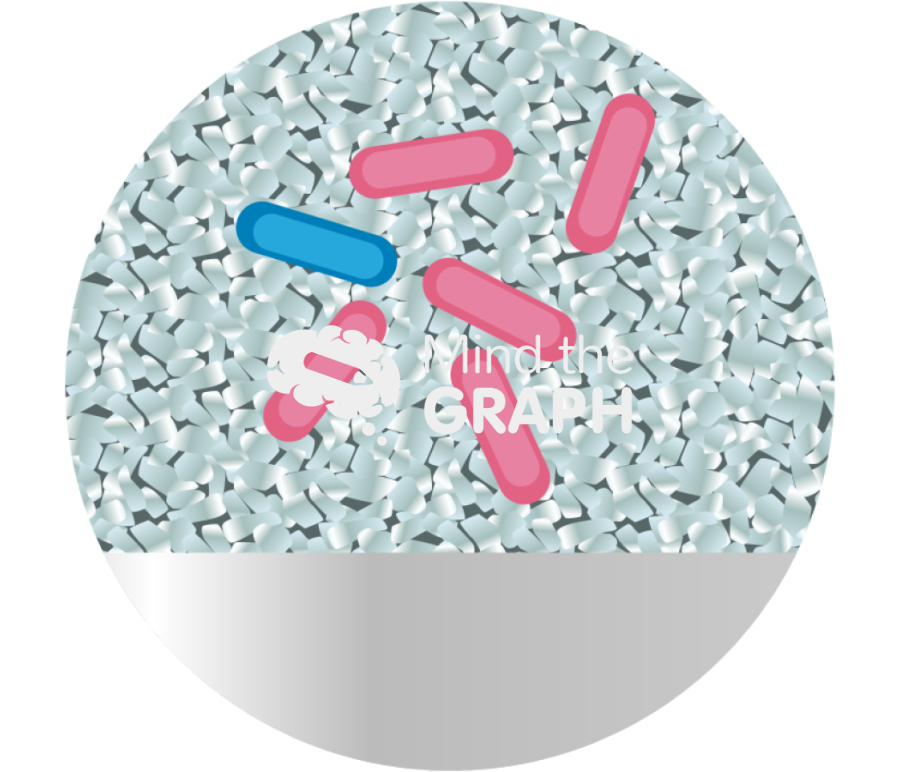 Nitrate reduction magnetite carbon steel surface zoom Icons, Symbols, Pictures, and Images