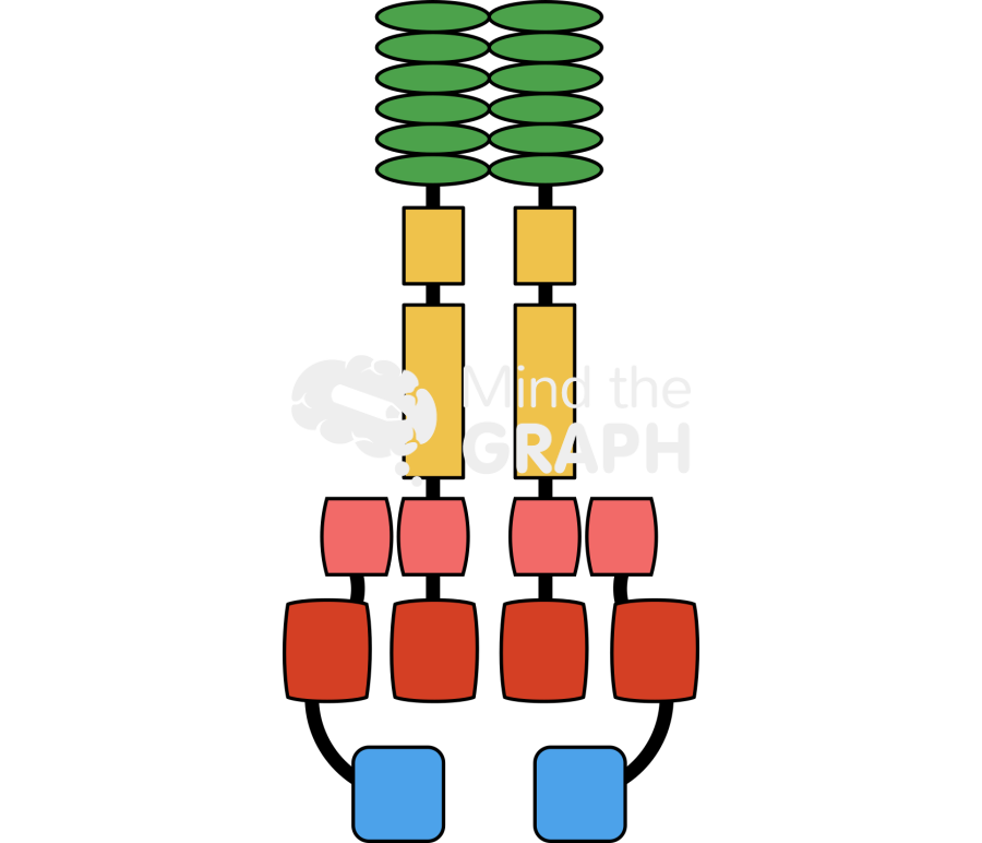 Nlrp3 Icons, Symbols, Pictures, and Images