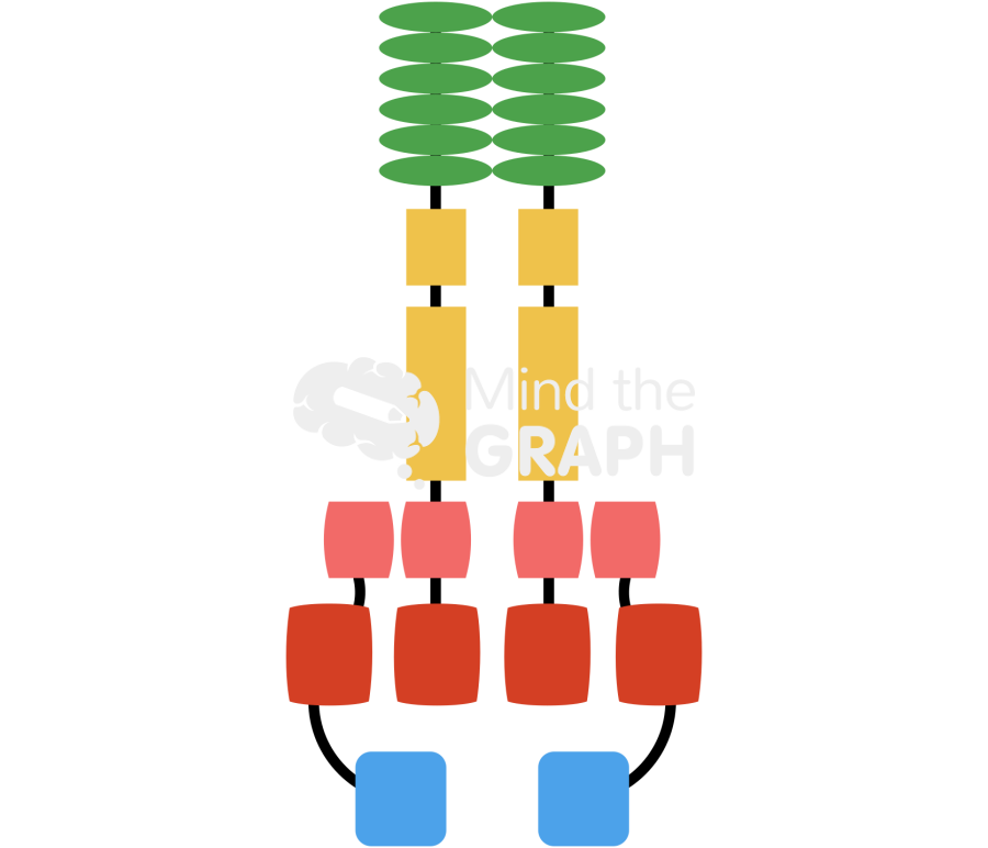 Nlrp3 Icons, Symbols, Pictures, and Images