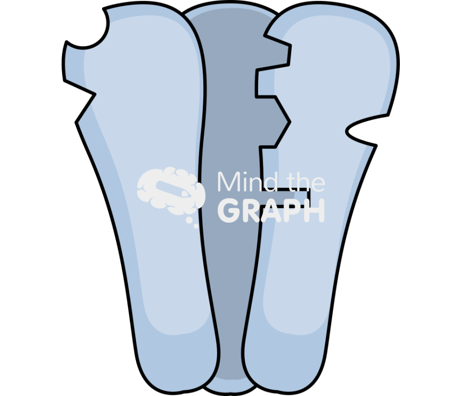 Nmda receptor Icons, Symbols, Pictures, and Images