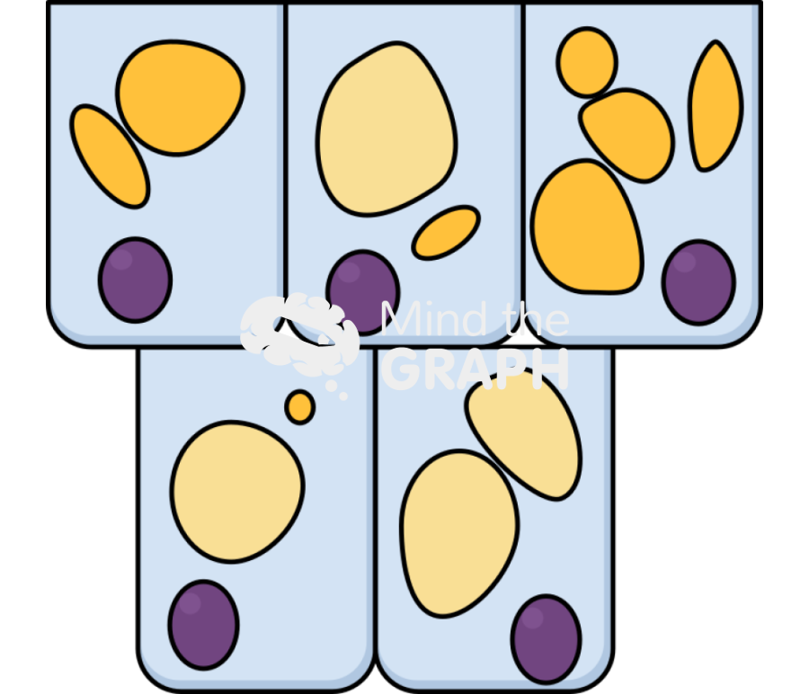 Non alcoholic fatty liver disease nafld Icons, Symbols, Pictures, and Images