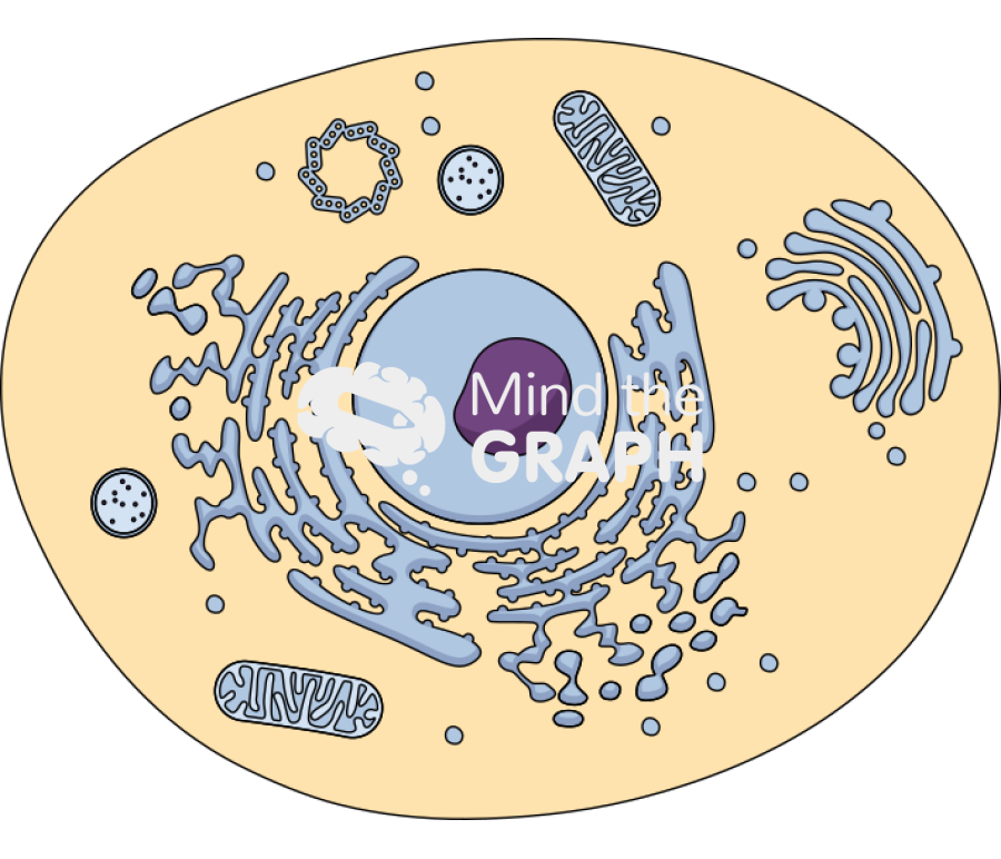 Normal cell cut Icons, Symbols, Pictures, and Images