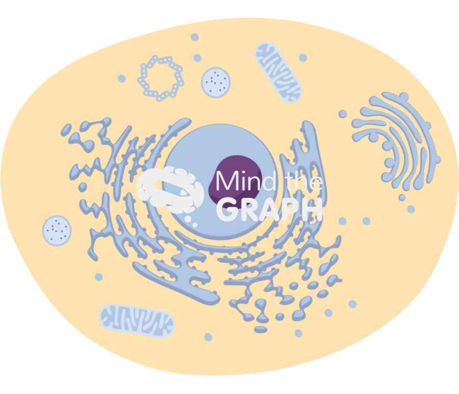 Normal cell cut Icons, Symbols, Pictures, and Images