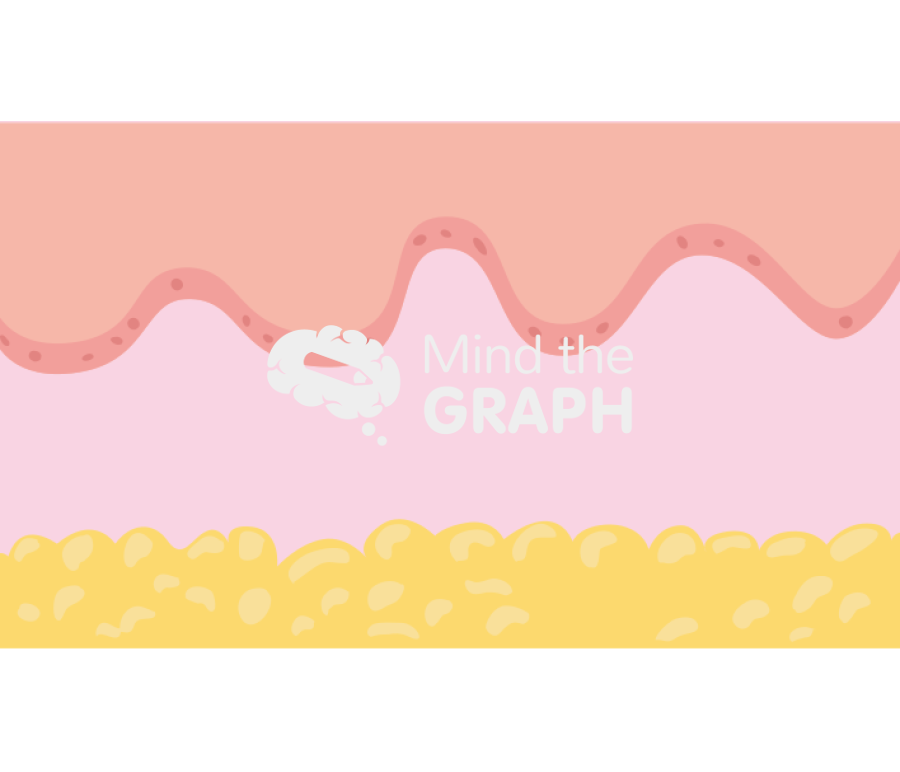 Normal Epidermis Icons, Symbols, Pictures, and Images