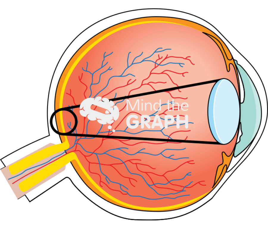 Normal eye vision Icons, Symbols, Pictures, and Images