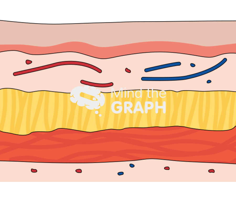 Normal gastric mucosal epithelial tissue Icons, Symbols, Pictures, and Images