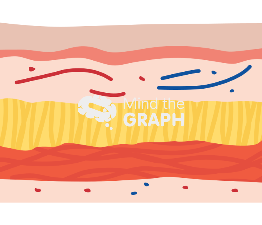 Normal gastric mucosal epithelial tissue Icons, Symbols, Pictures, and Images