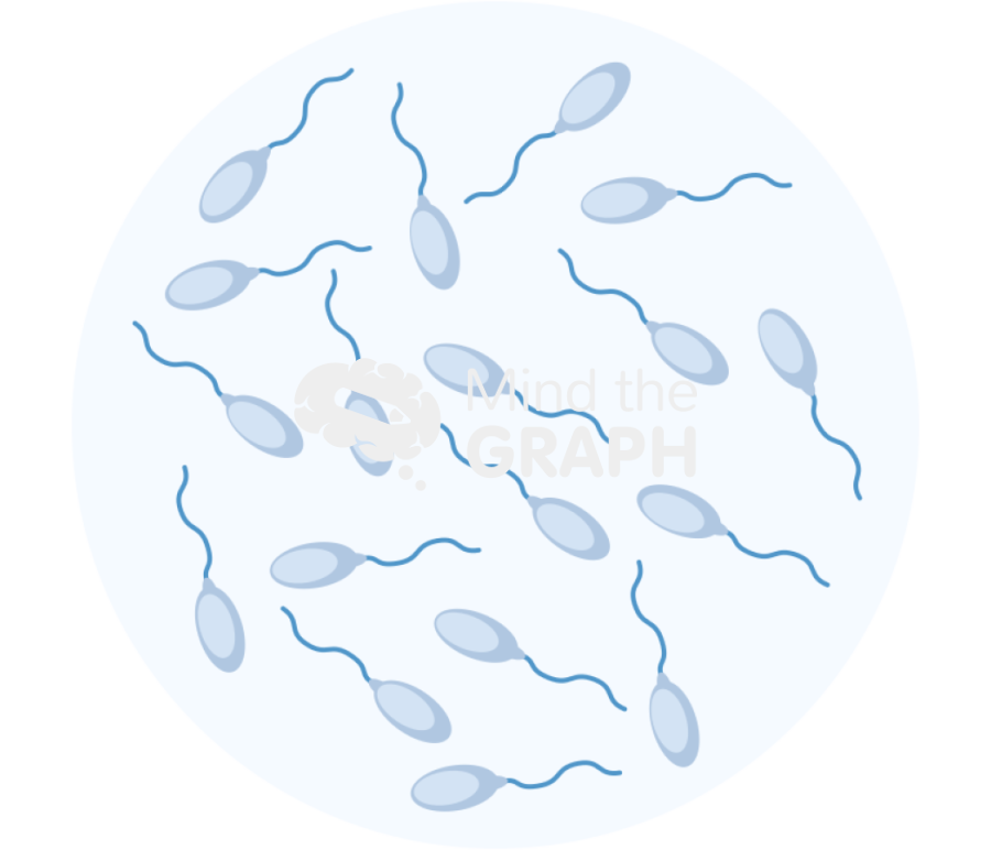 Normal sperm count zoom Icons, Symbols, Pictures, and Images