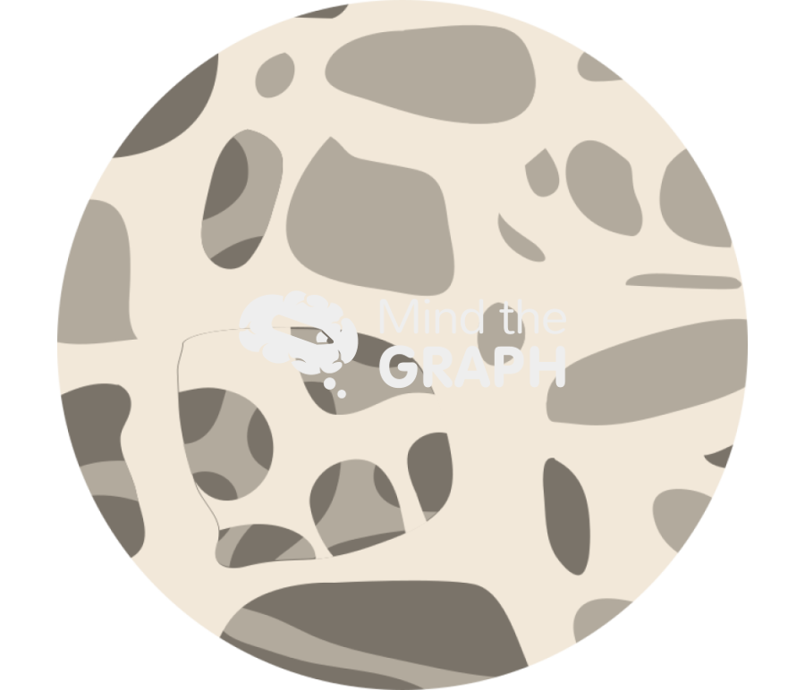 Normal trabecular bone Icons, Symbols, Pictures, and Images