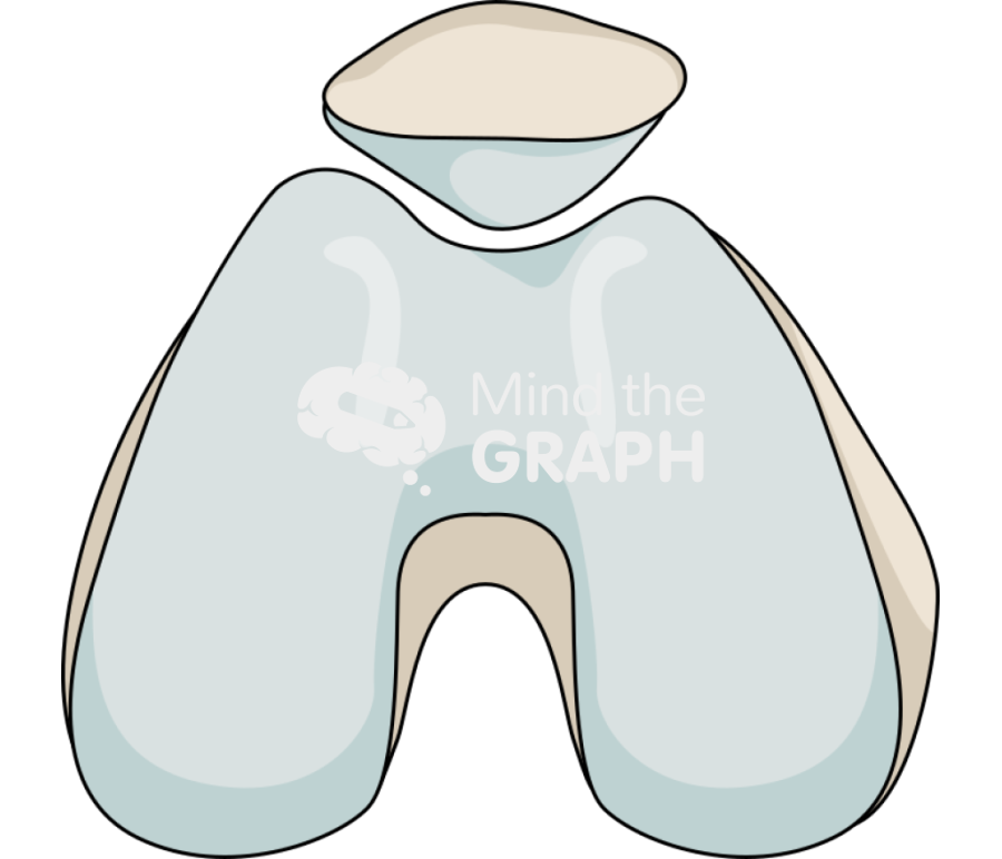 Normal trochlea Icons, Symbols, Pictures, and Images