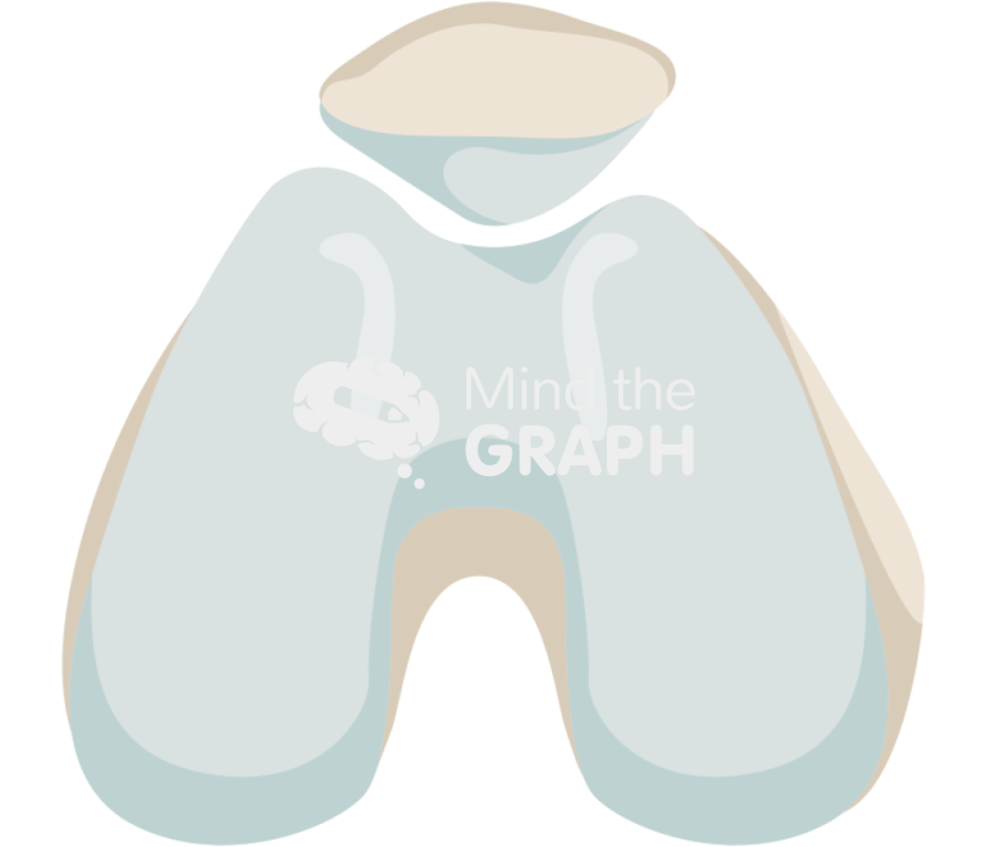 Normal trochlea Icons, Symbols, Pictures, and Images