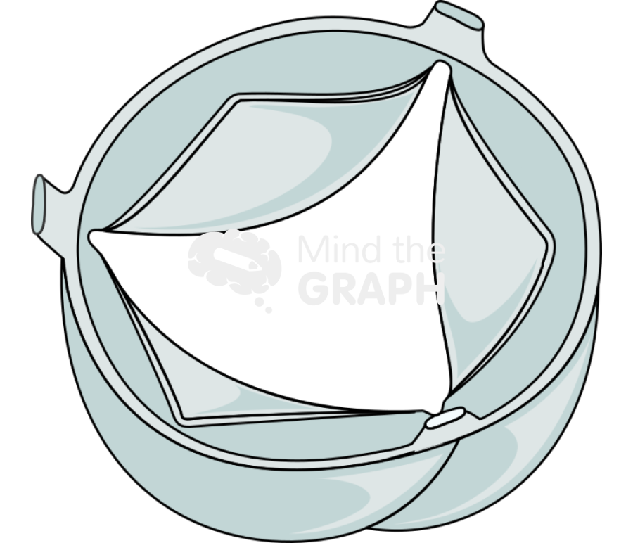 Normal valve Icons, Symbols, Pictures, and Images