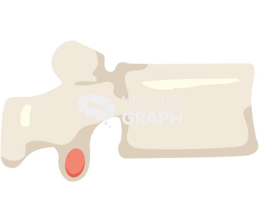 Normal vertebra Icons, Symbols, Pictures, and Images