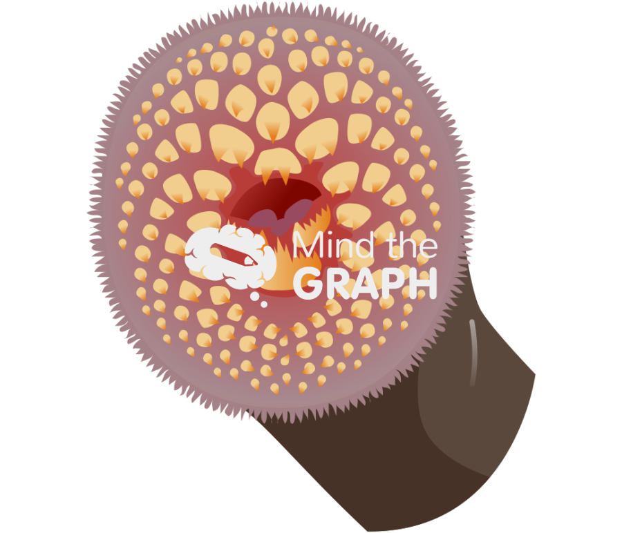 Northern lampreys mouth Icons, Symbols, Pictures, and Images