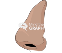 Nose side tanned - Edit and Customize Icons of Nose side tanned Nose side tanned Icons, Symbols, Pictures, and Images