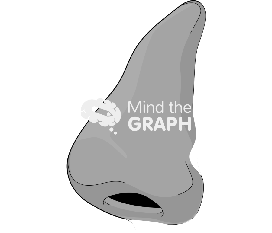 Nose side tanned Icons, Symbols, Pictures, and Images