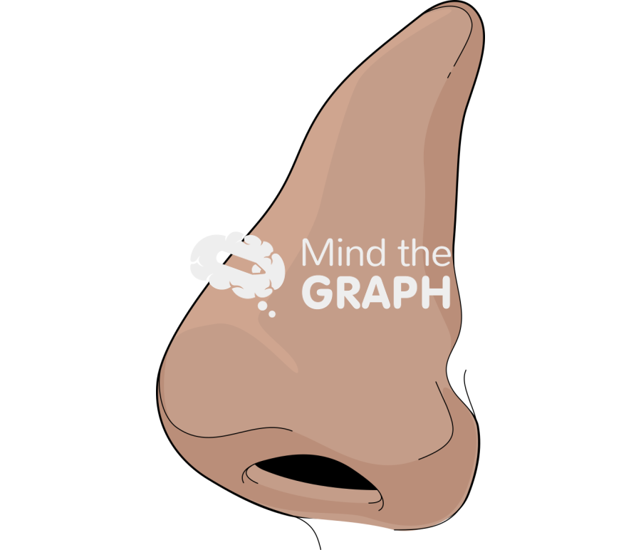 Nose side tanned Icons, Symbols, Pictures, and Images