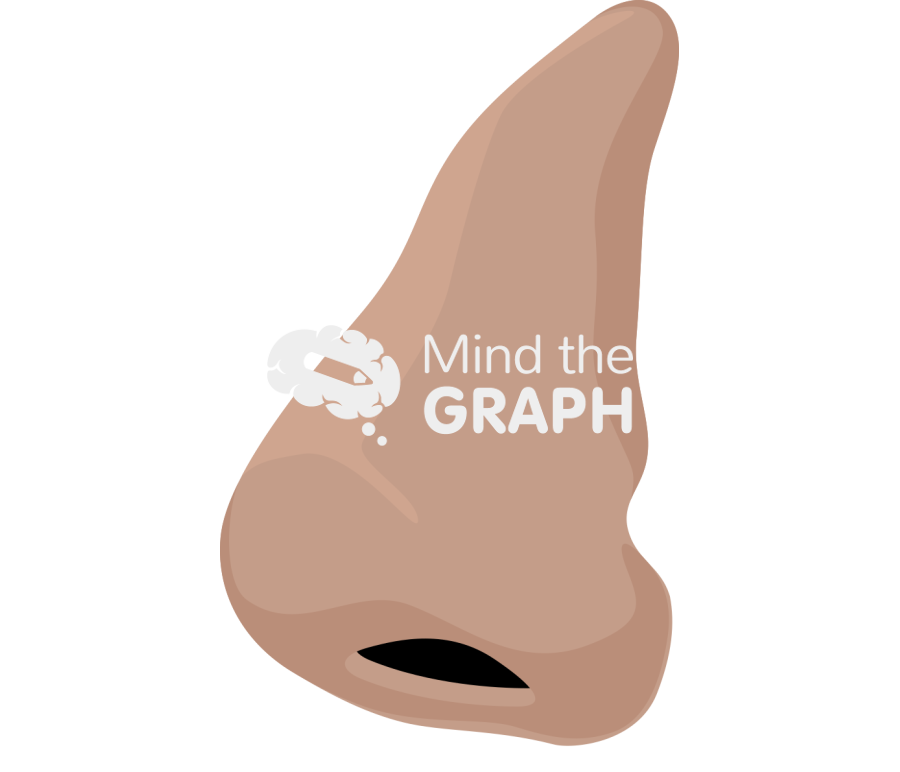 Nose side tanned Icons, Symbols, Pictures, and Images