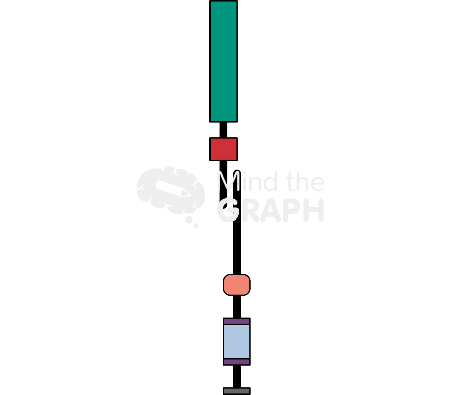 Notch 1 4 receptor front 2 Icons, Symbols, Pictures, and Images