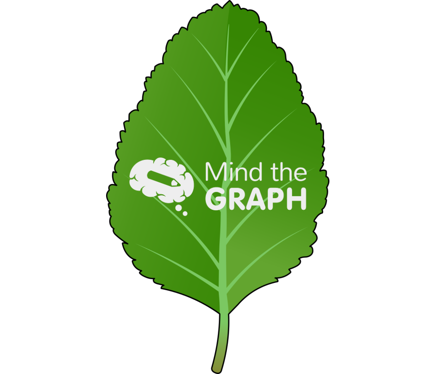 Nothofagus antarctica simple leaf Icons, Symbols, Pictures, and Images