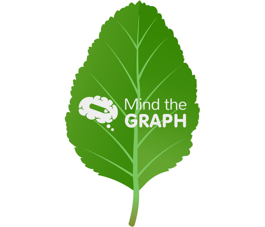 Nothofagus antarctica simple leaf Icons, Symbols, Pictures, and Images