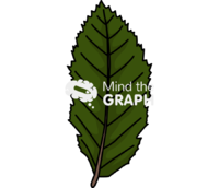 Nothofagus obliqua nob leaf - Edit and Customize Icons of Nothofagus obliqua nob leaf Nothofagus obliqua nob leaf Icons, Symbols, Pictures, and Images
