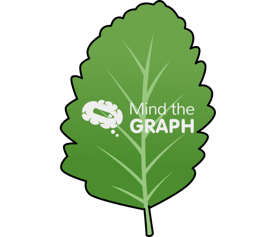 Nothofagus pumilio lenga leaf Icons, Symbols, Pictures, and Images