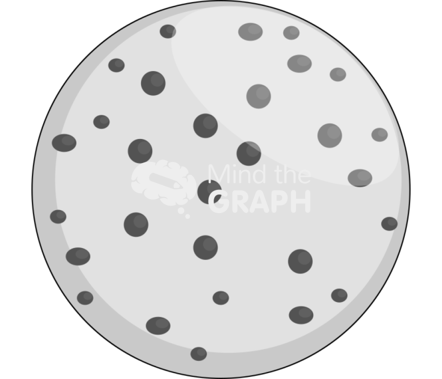 Nucleus Icons, Symbols, Pictures, and Images