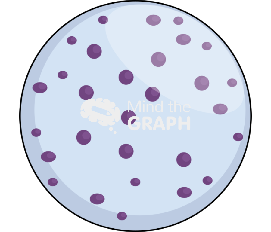 Nucleus Icons, Symbols, Pictures, and Images